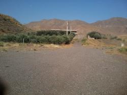 کارخانه به همراه باغ زیتون