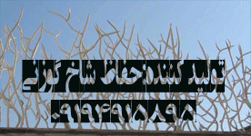 حفاظ روديواري