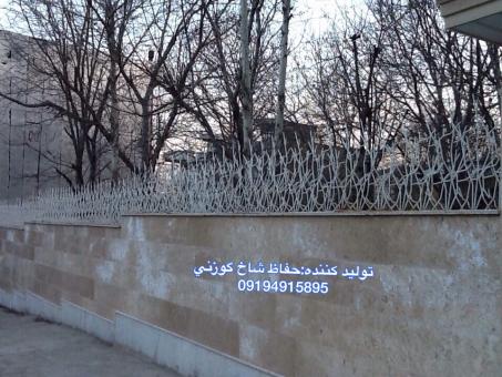 حفاظ شاخ گوزني