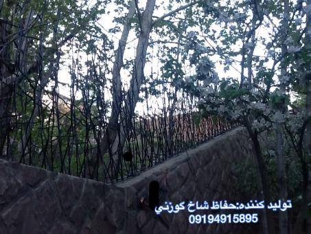 حفاظ ديوار