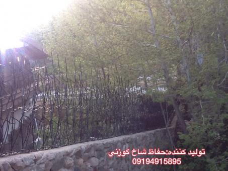 حفاظ روديواري