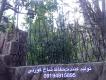 حفاظ ديوار