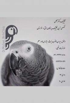 درمانگاه دامپزشکی دکتر مجلسی