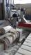 دستگاه cnc سنگ شرکت برنا ابزار توس