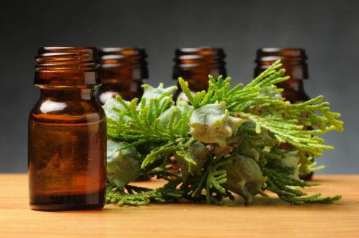 روغن های گیاهی آرکا با 98% خلوص، ایرانی و درجه یک