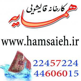 قالیشویی همسایه