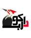 طراحی سایت و بهینه سازی دارکوب