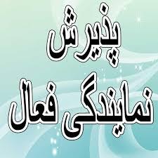 اعطای نمایندگی با سرمایه اندک