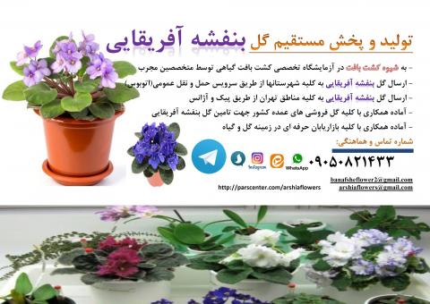 به تعدادی بازاریاب حرفه ای گل بنفشه آفریقایی نیازمندیم