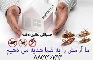 سمپاشی تخصصی ساس