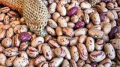 فروشگاه حاجی ارزونی