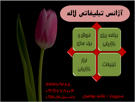 آژانس تبلیغاتی، بازاریابی و برند لاله