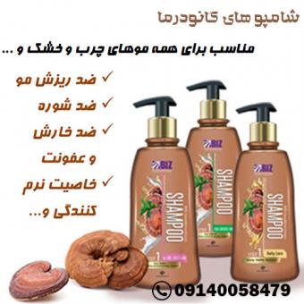 شامپو های عصاره قارچ گانودرما