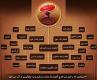 قارچ و قهوه گانودرما